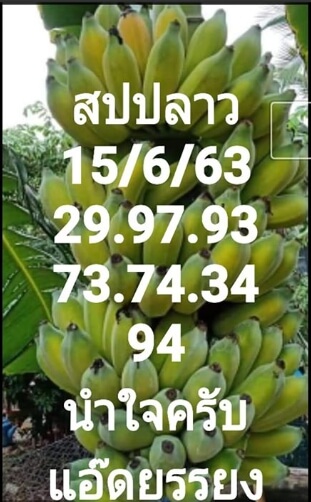 แนวทางหวยลาว 15/6/63 ชุดที่13