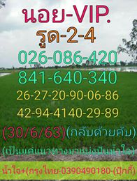 แนวทางหวยฮานอย 30/6/63 ชุดที4