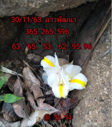 แนวทางหวยลาว 30/11/63 ชุดที่ 14