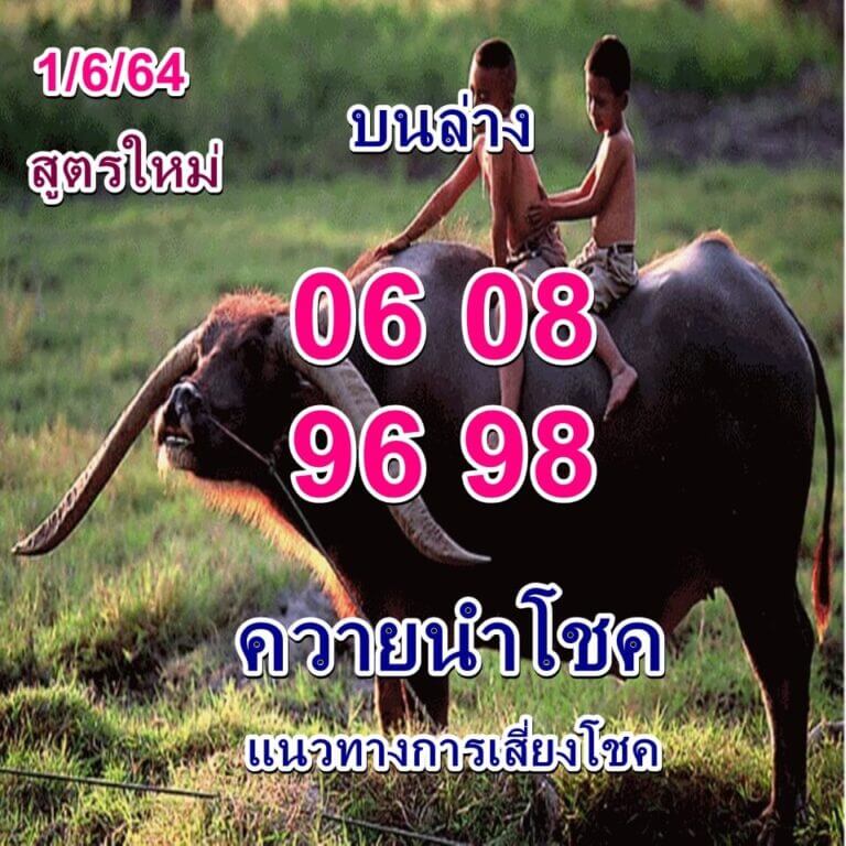 หวยควายนำโชค 1/6/64