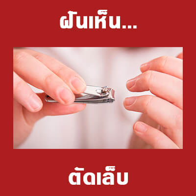 ทำนายฝันว่าตัดเล็บ