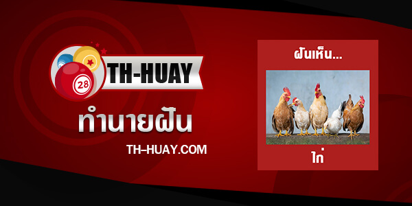 ทำนายฝันเห็นไก่