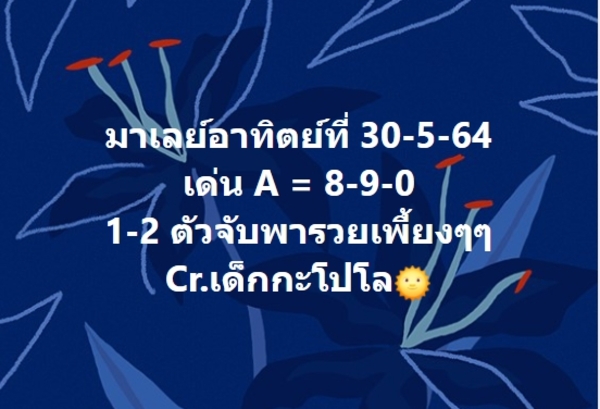 แนวทางหวยมาเลย์ 30/5/64 ชุดที่4