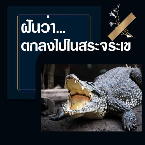 ทำนายฝัน