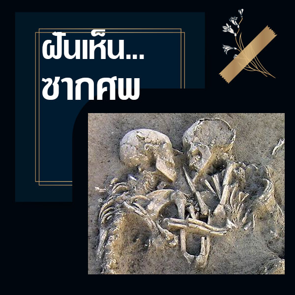  ทำนายฝัน
