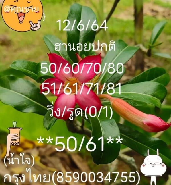 หวยเด็ดฮานอย