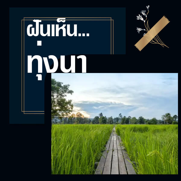 ทำนายฝัน