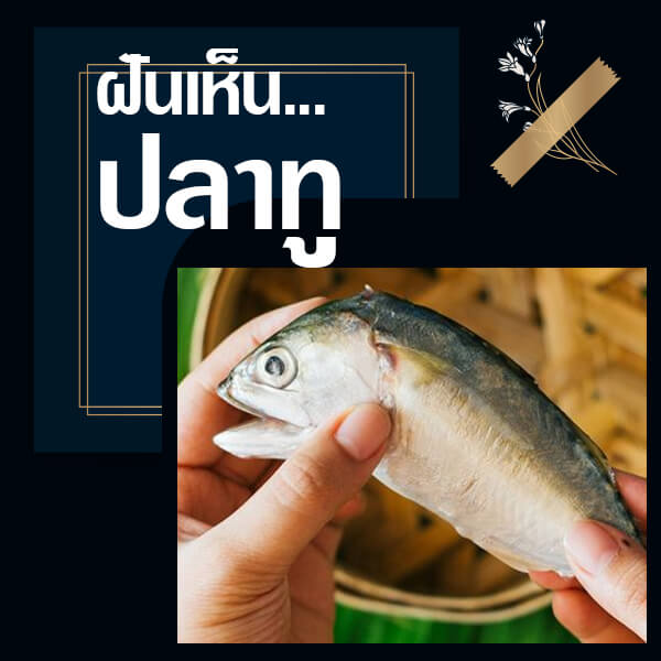 ฝันเห็นปลาทู