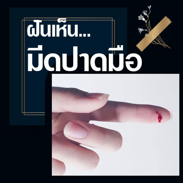 ฝันเห็นมีดปาดมือ