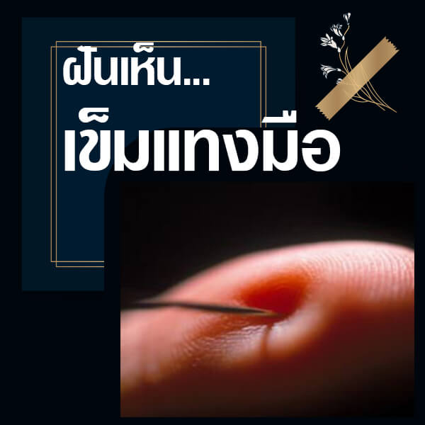 ฝันเห็นเข็มแทงมือ