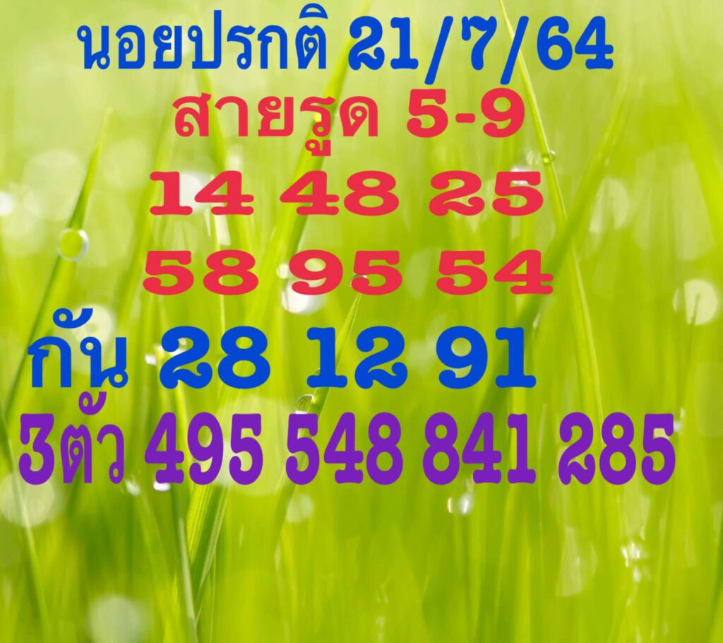 แนวทางหวยฮานอย 21/7/64 ชุดที่11