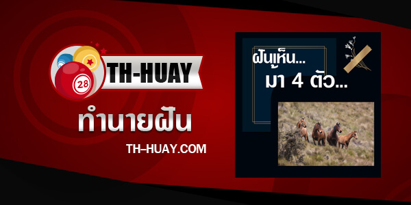 ทำนายฝันม้า 4 ตัว