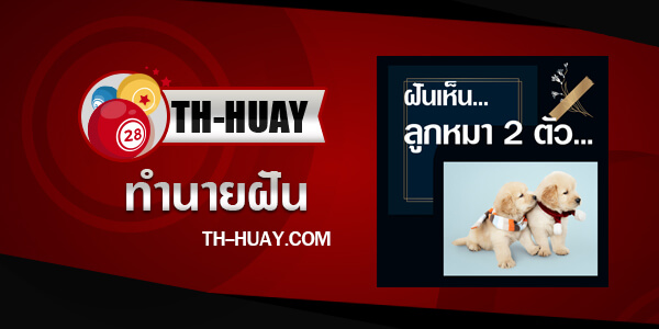 ปกฝันเห็นลูกหมา 2 ตัว