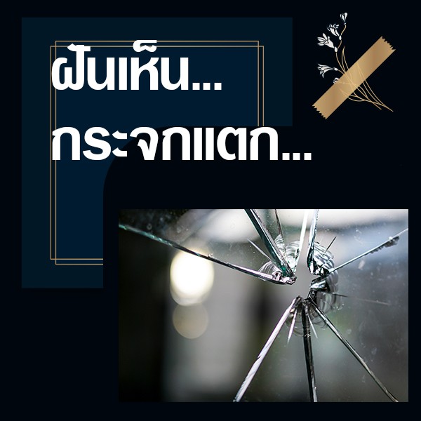 My Image 7