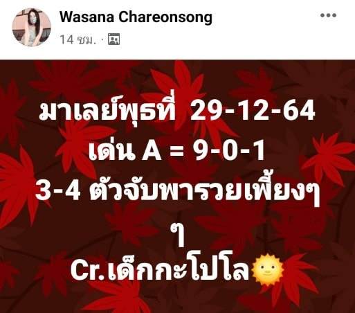 แนวทางหวยมาเลย์ 29/12/64 ชุดที่ 15