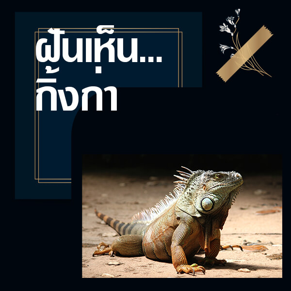 My Image 32