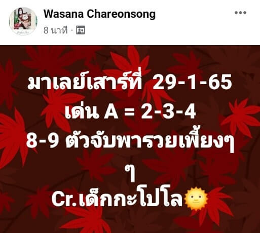 แนวทางหวยมาเลย์ 29/1/65 ชุดที่ 11