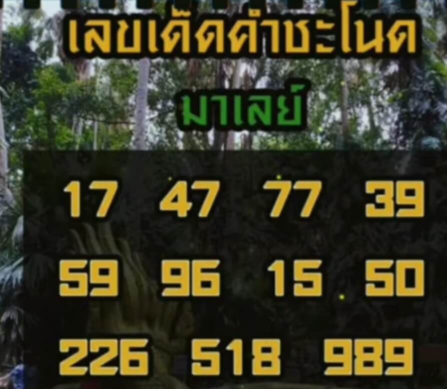 แนวทางหวยมาเลย์ 29/1/65 ชุดที่ 14