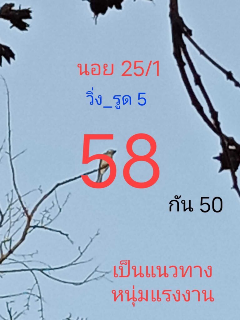 แนวทางหวยฮานอย 25/1/65 ชุดที่ 11