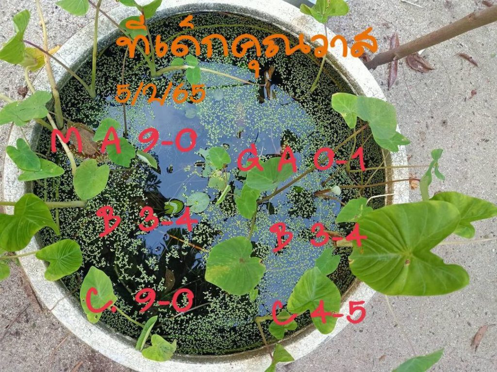 แนวทางหวยมาเลย์ 5/2/65 ชุดที่ 6