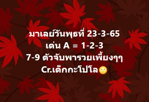 แนวทางหวยมาเลย์ 23/3/65 ชุดที่ 10