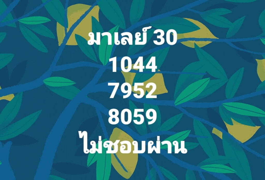 แนวทางหวยมาเลย์ 30/3/65 ชุดที่ 9