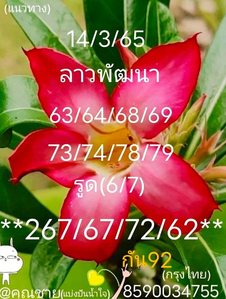 แนวทางหวยลาว 14/3/65 ชุดที่ 2