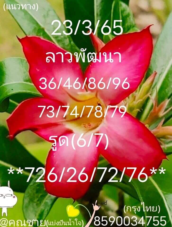 แนวทางหวยลาว 23/3/65 ชุดที่ 15