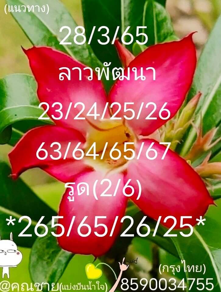 แนวทางหวยลาว 28/3/65 ชุดที่ 6