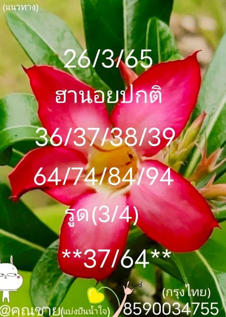 แนวทางหวยฮานอย 26/3/65 ชุดที่ 19