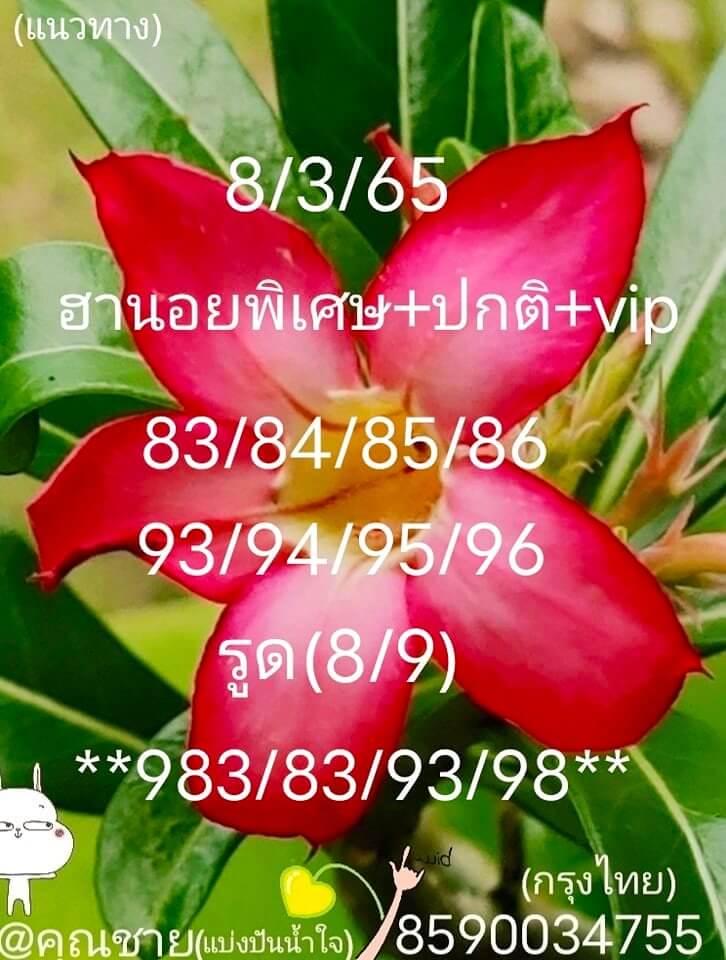 แนวทางหวยฮานอย 8/3/65 ชุดที่ 5