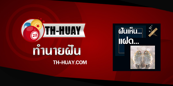 ปกทำนายฝันเห็นแฝด