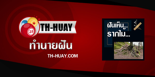 ปกทำนายฝันเห็นรากไม้