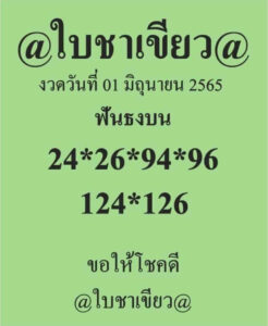 หวยใบขาเขียว 1/6/65