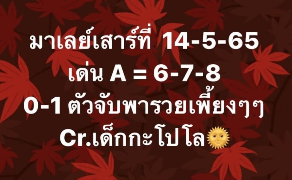 แนวทางหวยมาเลย์ 14/5/65 ชุดที่ 14