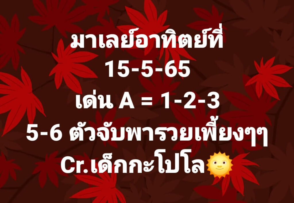 แนวทางหวยมาเลย์ 15/5/65 ชุดที่ 13