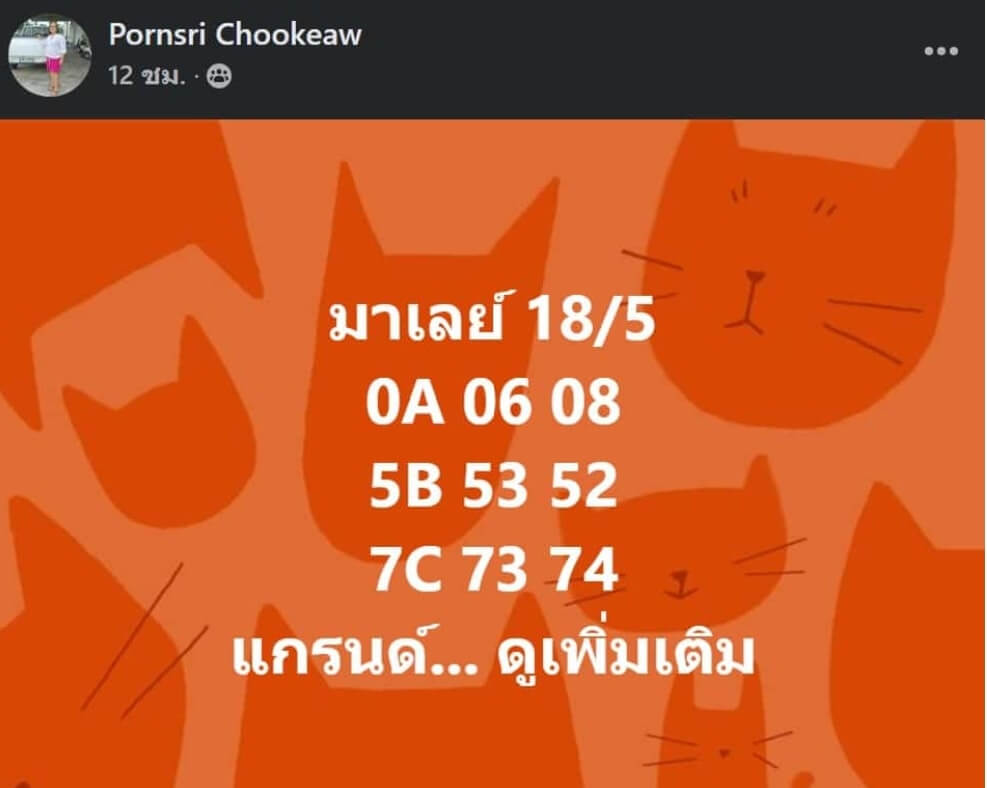 แนวทางหวยมาเลย์ 18/5/65 ชุดที่ 2