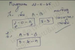 แนวทางหวยมาเลย์ 22/5/65 ชุดที่ 20