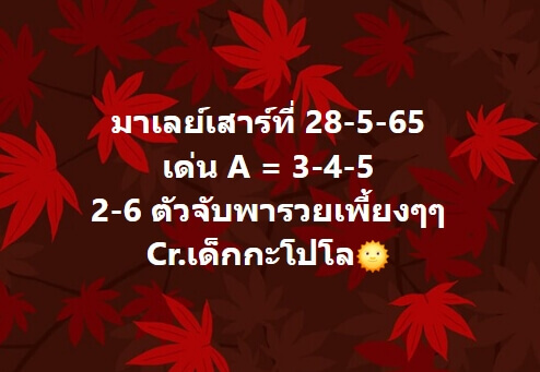 แนวทางหวยมาเลย์ 28/5/65 ชุดที่ 8