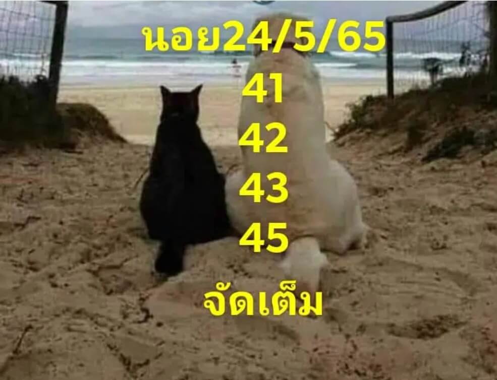 แนวทางหวยฮานอย 24/5/65 ชุดที่ 7