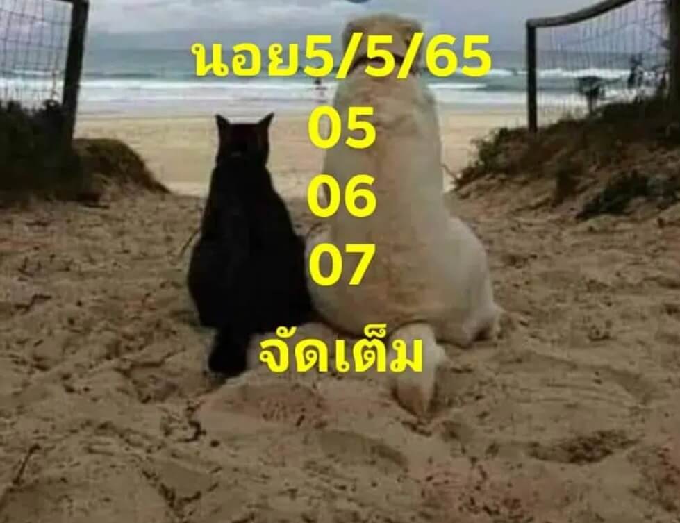 แนวทางหวยฮานอย 5/5/65 ชุดที่ 10