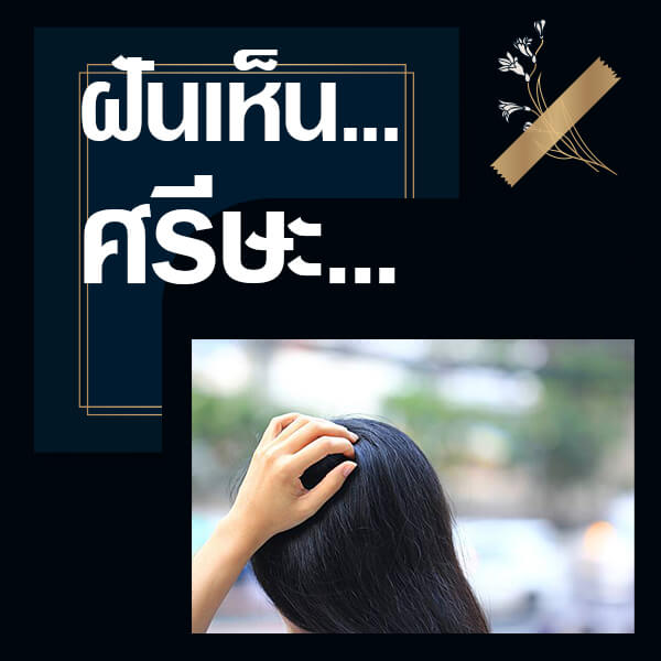 ทำนายฝันเห็นศรีษะ