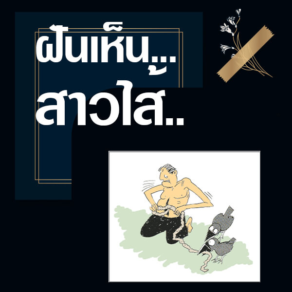 ทำนายฝันเห็นสาวไส้