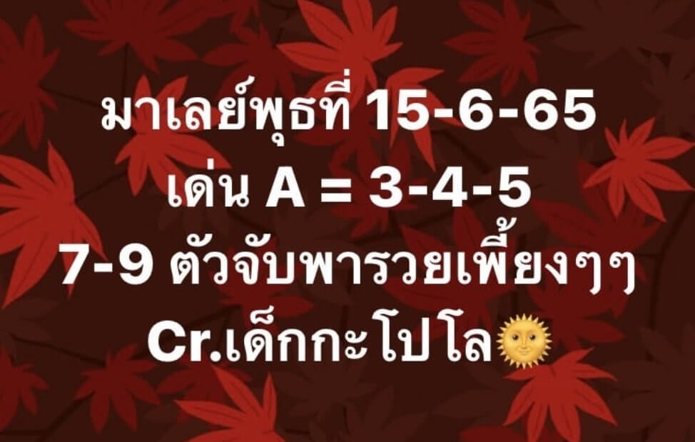 แนวทางหวยมาเลย์ 15/6/65 ชุดที่ 14