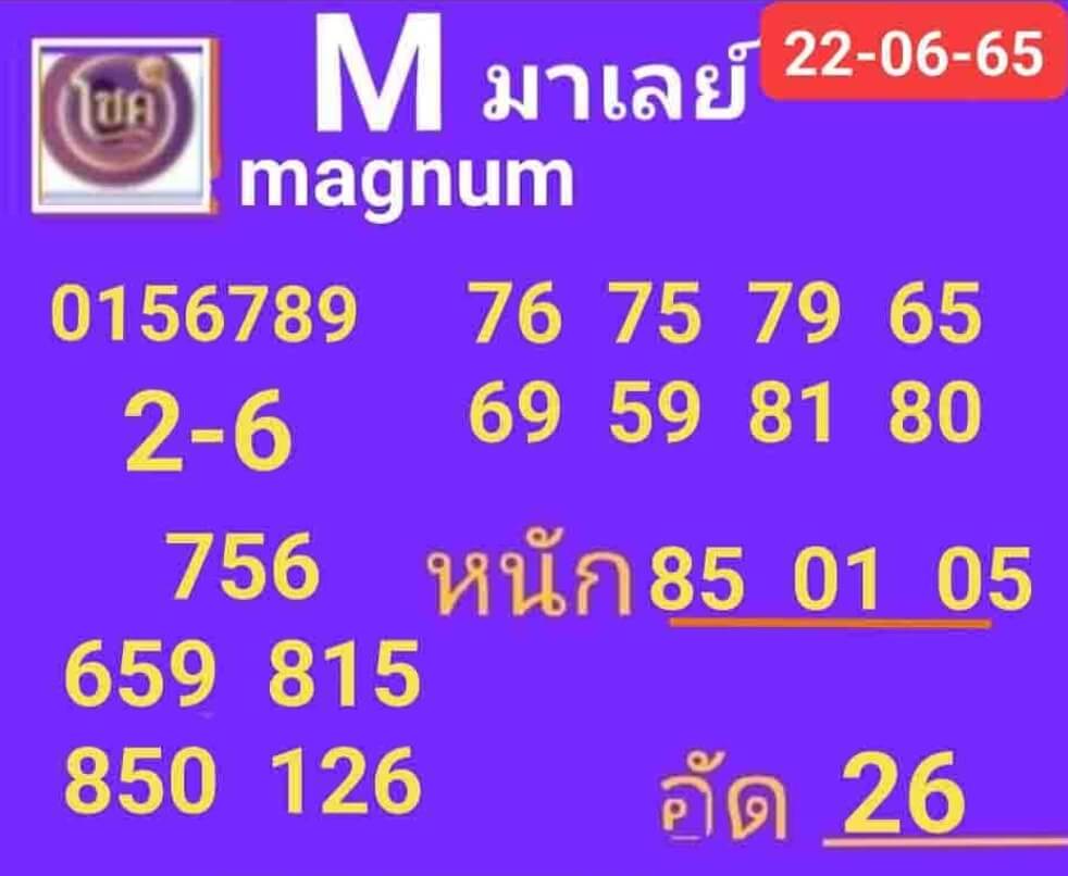 แนวทางหวยมาเลย์ 22/6/65 ชุดที่ 6