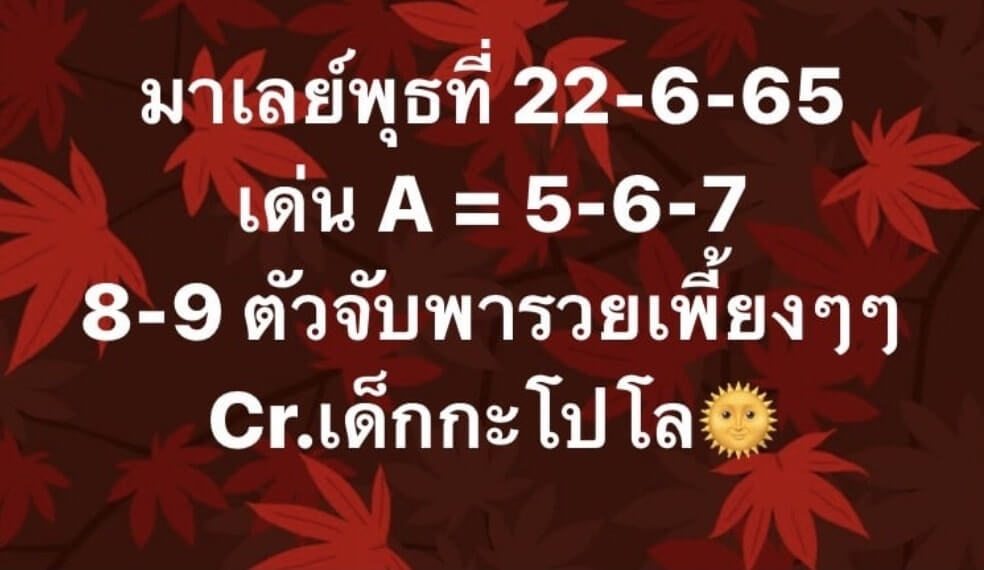 แนวทางหวยมาเลย์ 22/6/65 ชุดที่ 7