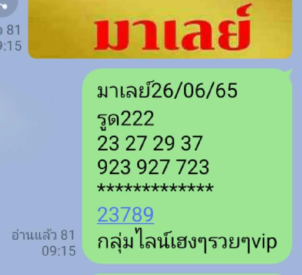 แนวทางหวยมาเลย์ 26/6/65 ชุดที่ 19