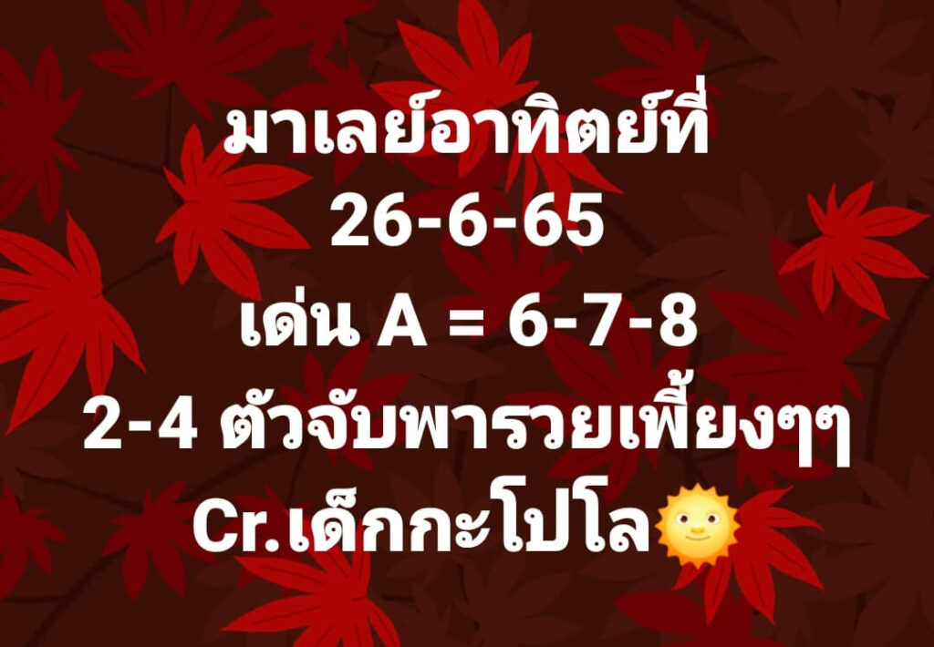 แนวทางหวยมาเลย์ 26/6/65 ชุดที่ 9