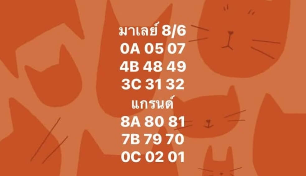 แนวทางหวยมาเลย์ 8/6/65 ชุดที่ 16