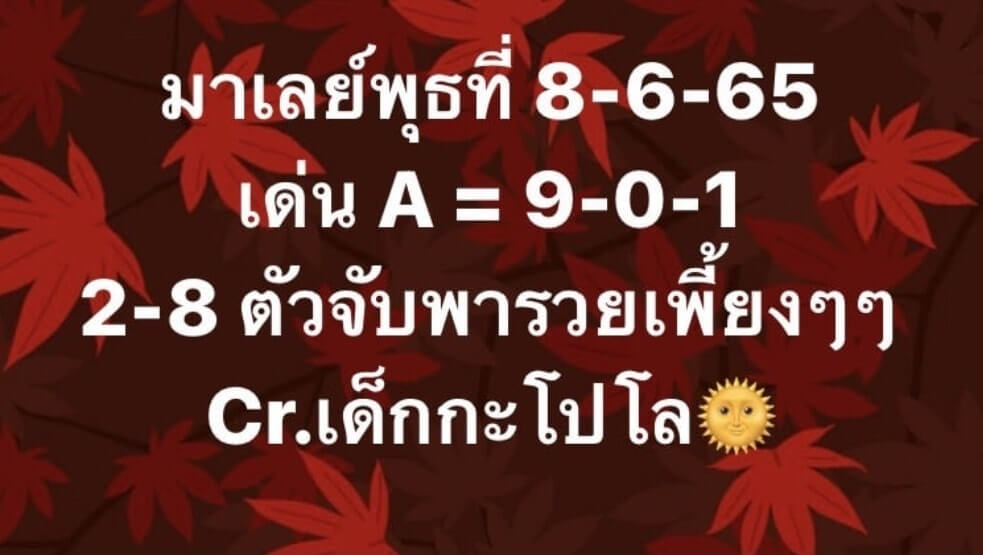 แนวทางหวยมาเลย์ 8/6/65 ชุดที่ 17